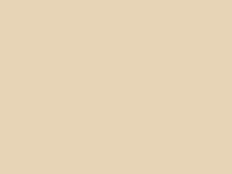 Tri-County Guttering Waco, Texas - Gutter Color Selections Classic Cream – 007